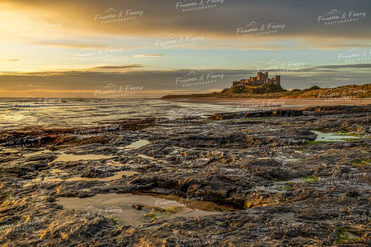 To buy a print or any of the below please click on the images